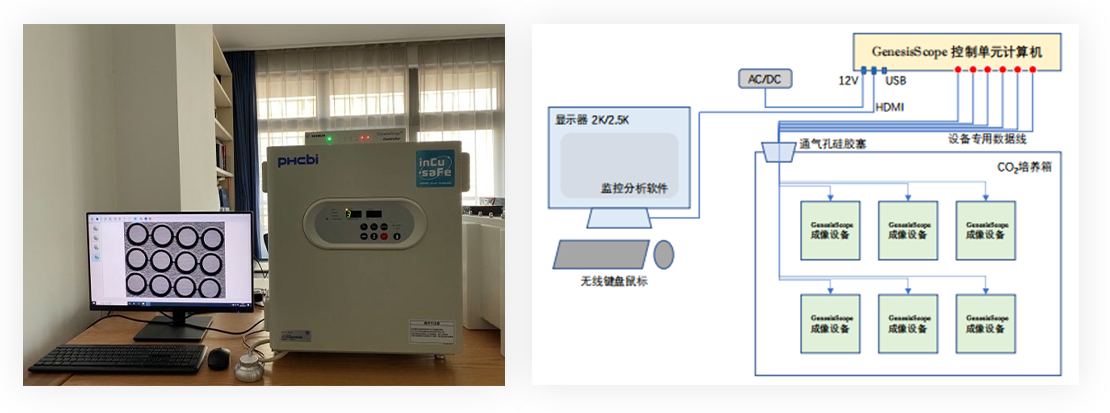 1786011220178277.png 赛芒信息解决方案.png