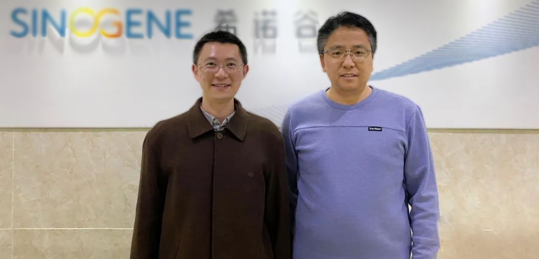 西诺谷.jpg